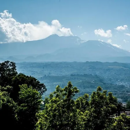 Oasi Park מלון 3*