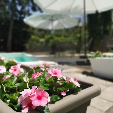 Oasi Park מלון 3*